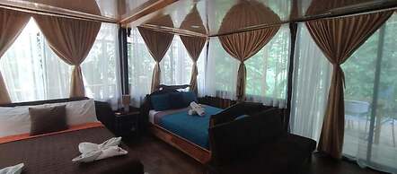 Cool Waters Jungle Villas