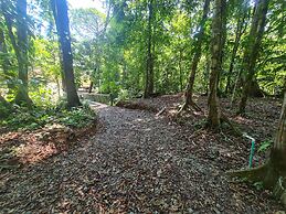 Cool Waters Jungle Villas