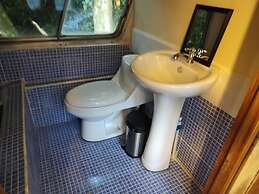 Cool Waters Jungle Villas