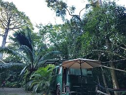 Cool Waters Jungle Villas