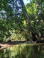 Cool Waters Jungle Villas