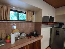 Cool Waters Jungle Villas