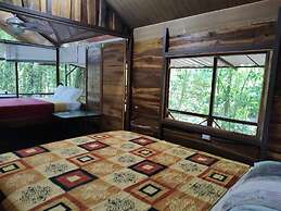 Cool Waters Jungle Villas