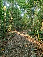 Cool Waters Jungle Villas