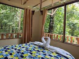 Cool Waters Jungle Villas