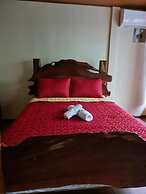 Cool Waters Jungle Villas