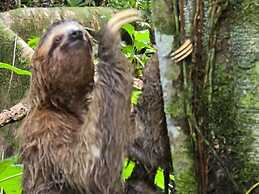 Cool Waters Jungle Villas