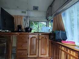 Cool Waters Jungle Villas