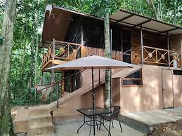 Cool Waters Jungle Villas