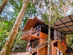 Cool Waters Jungle Villas