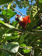 Cool Waters Jungle Villas