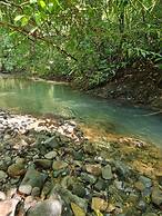 Cool Waters Jungle Villas