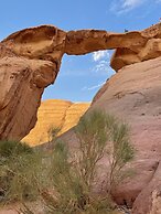 Milky Way Nights Camp