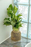 NeverLand Kohphangan