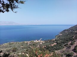 2 Annexed Apartments -private Place to Swim-large Terrace- Unlimited V