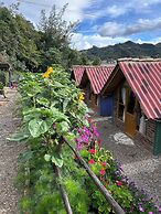 Hospedaje villa rosita