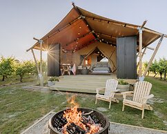 Villas & Vines Glamping