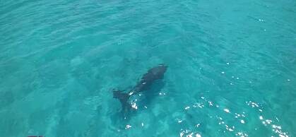 Exclusive Sunrise Eco Resort