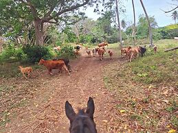 Exclusive Sunrise Eco Resort