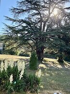 Chateau La Bainerie