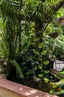 Botanic Bliss Living in Kingston