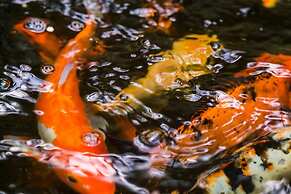 Botanic Bliss Living in Kingston