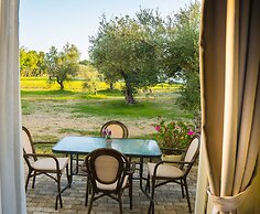 Olive Trees Garden Lixouri