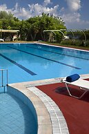 Olive Trees Garden Lixouri