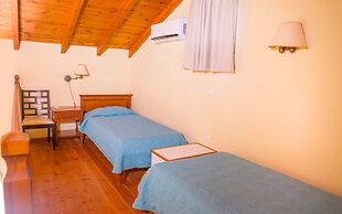 Olive Trees Garden Lixouri