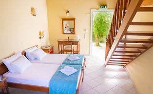 Olive Trees Garden Lixouri