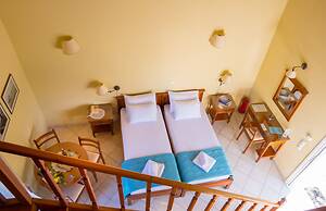 Olive Trees Garden Lixouri