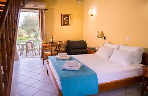 Olive Trees Garden Lixouri