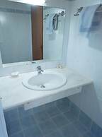 Olive Trees Garden Lixouri