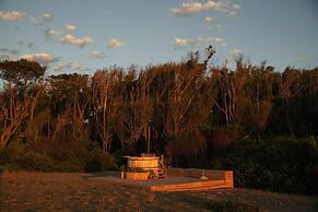 Big Bang Nature Stays