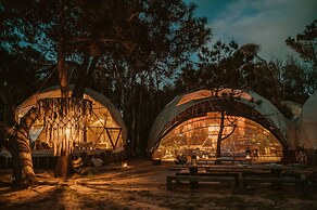 Big Bang Nature Stays