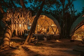 Big Bang Nature Stays