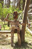 Big Bang Nature Stays