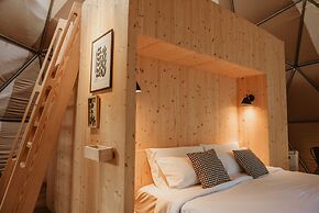 Big Bang Nature Stays