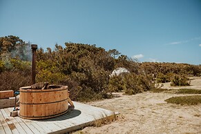 Big Bang Nature Stays