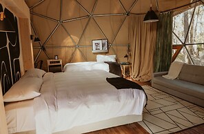 Big Bang Nature Stays