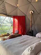 Big Bang Nature Stays