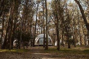 Big Bang Nature Stays