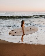 Big Bang Nature Stays