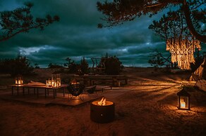 Big Bang Nature Stays