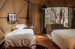 Big Bang Nature Stays