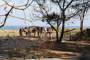 Big Bang Nature Stays