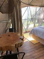 Big Bang Nature Stays