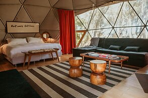 Big Bang Nature Stays