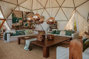 Big Bang Nature Stays