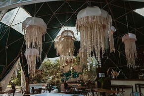 Big Bang Nature Stays